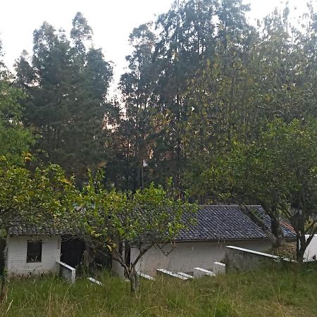 Quinta Los Eucaliptos Villa Quito Luaran gambar