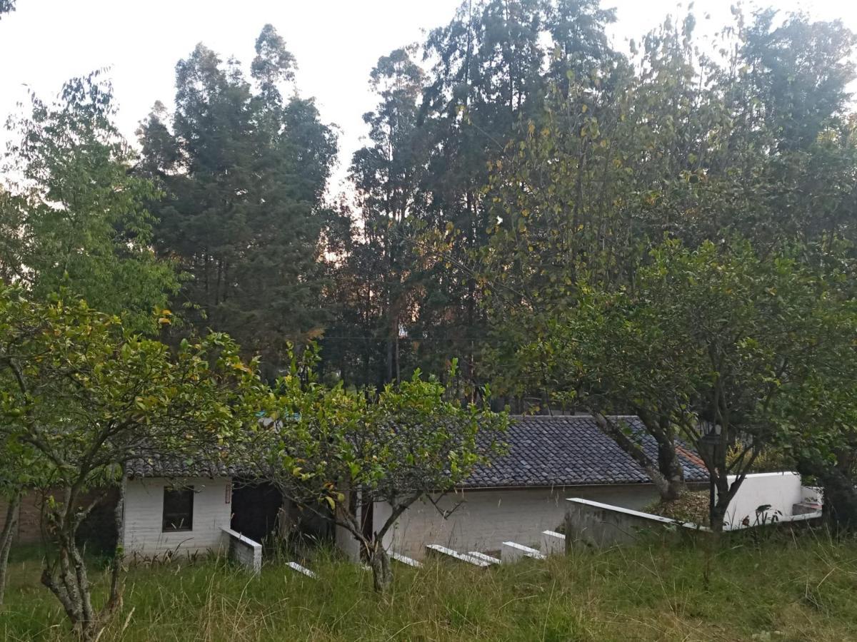 Quinta Los Eucaliptos Villa Quito Luaran gambar